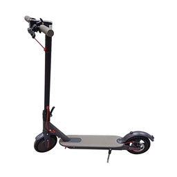 [SS] 8 Inch E-Scooter